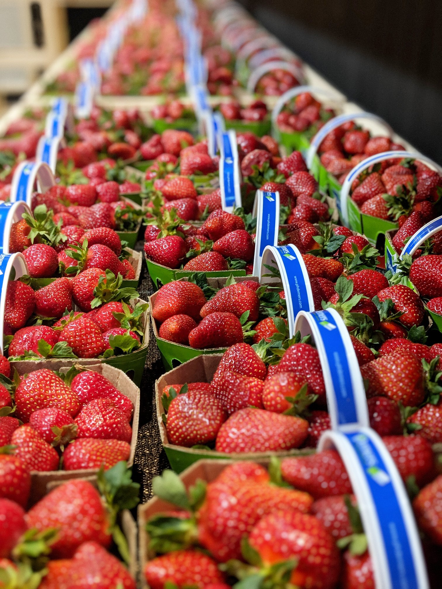 Fraises du Québec