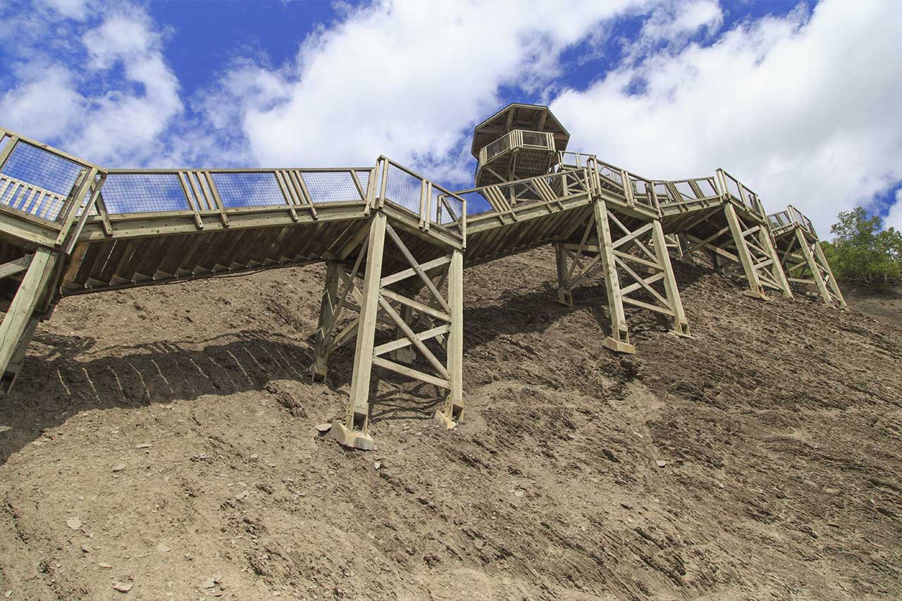 Panoramic Staircase